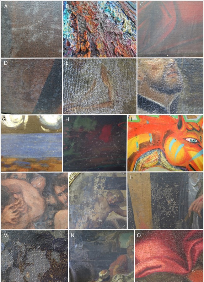  los microorganismos en la arqueología